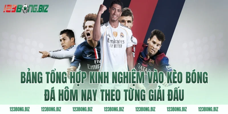 Bảng tổng hợp kinh nghiệm vào kèo bóng đá hôm nay theo từng giải đấu
