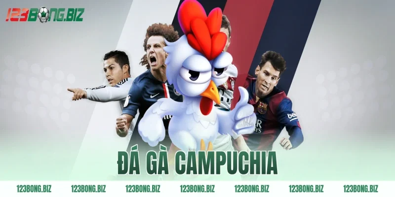 đá gà campuchia