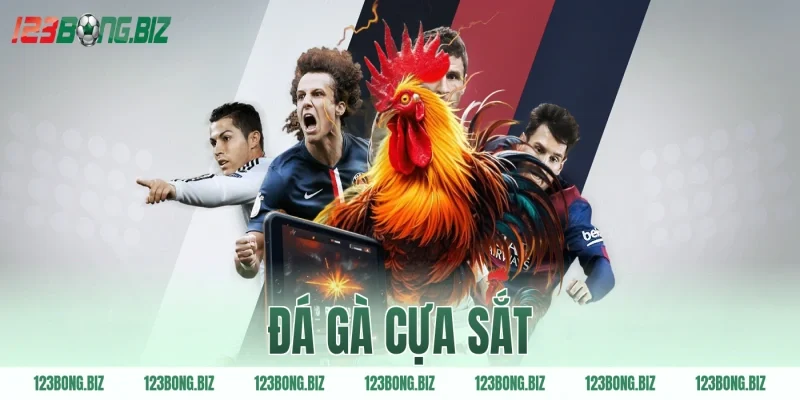 đá gà cựa sắt