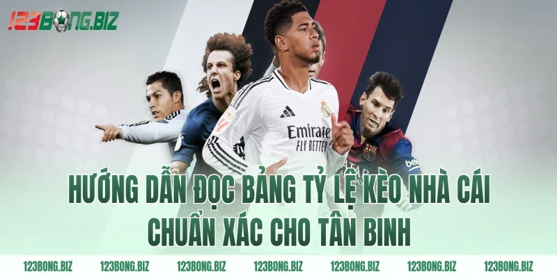 Hướng dẫn đọc bảng tỷ lệ kèo nhà cái chuẩn xác cho tân binh