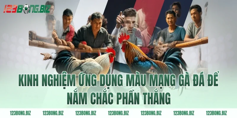 Kinh nghiệm ứng dụng màu mạng gà đá để nắm chắc phần thắng