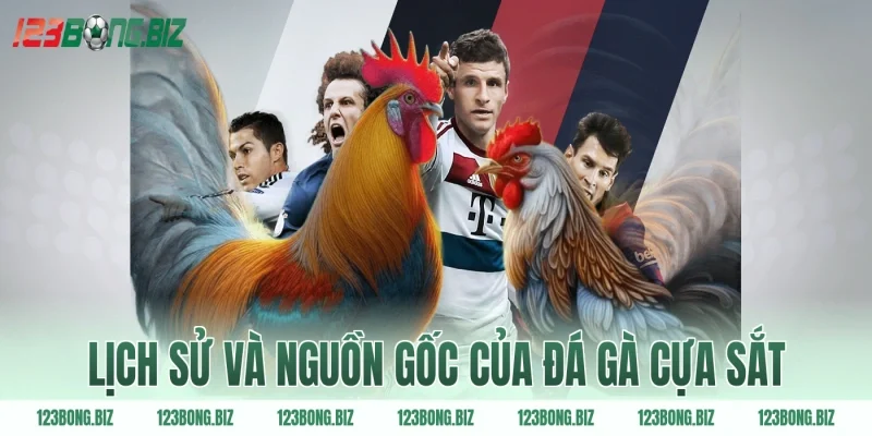 Lịch sử và nguồn gốc của đá gà cựa sắt