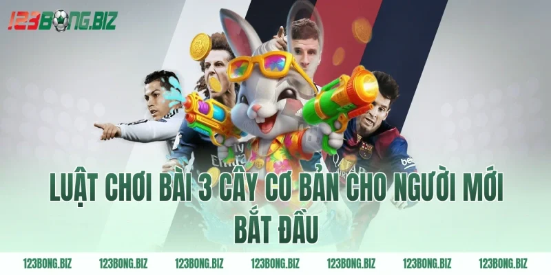 Luật chơi bài 3 cây cơ bản cho người mới bắt đầu