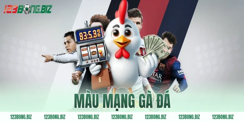 màu mạng gà đá