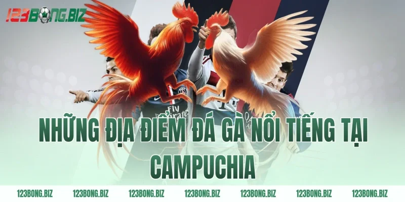 Những địa điểm đá gà nổi tiếng tại Campuchia
