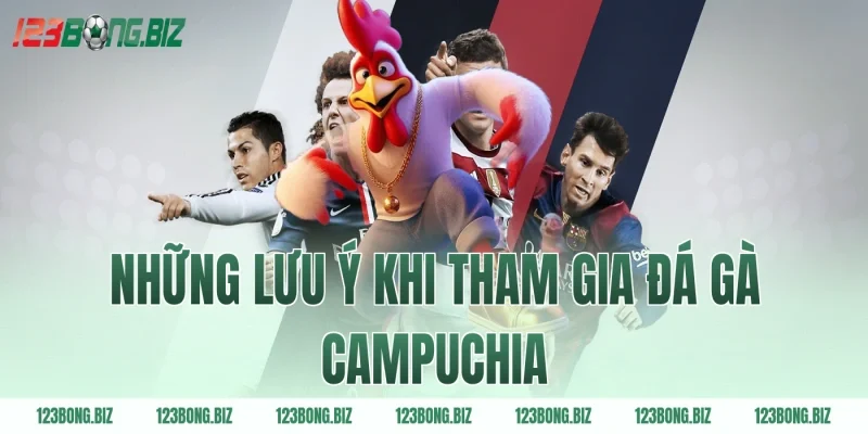 Những lưu ý khi tham gia đá gà Campuchia