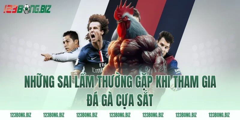 Những sai lầm thường gặp khi tham gia đá gà cựa sắt