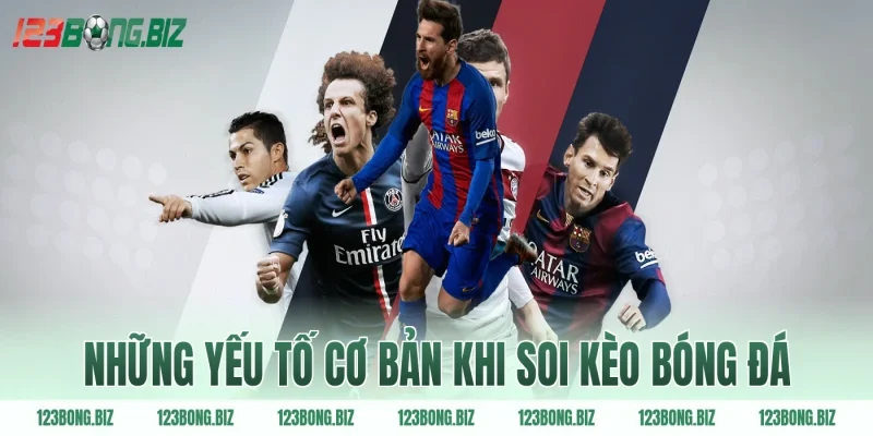 Những yếu tố cơ bản khi soi kèo bóng đá