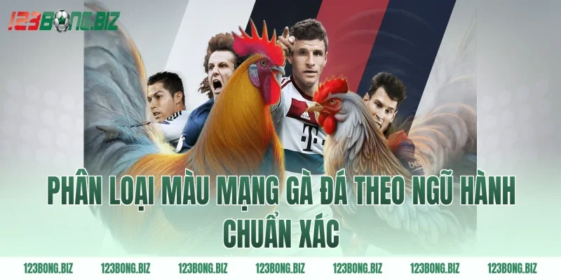Phân loại màu mạng gà đá theo ngũ hành chuẩn xác