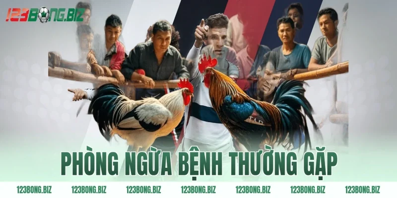 Phòng ngừa bệnh thường gặp