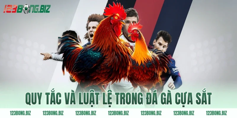 Quy tắc và luật lệ trong đá gà cựa sắt