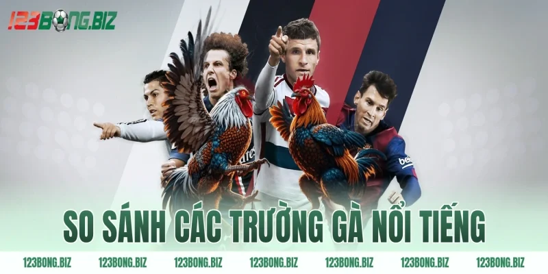 So sánh các trường gà nổi tiếng