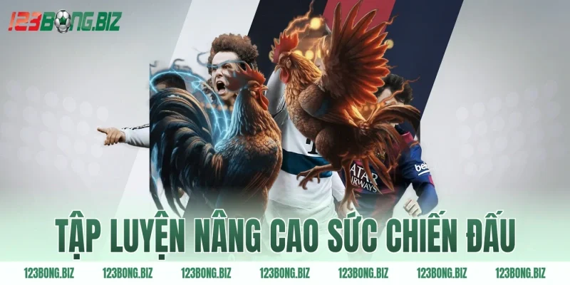 Tập luyện nâng cao sức chiến đấu