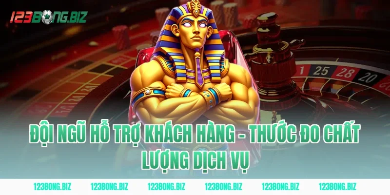 Đội Ngũ Hỗ Trợ Khách Hàng – Thước Đo Chất Lượng Dịch Vụ